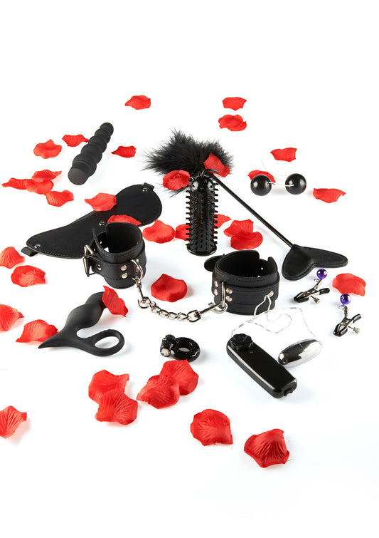 10432 toyjoy just for you amazing pleasure sex toy kit