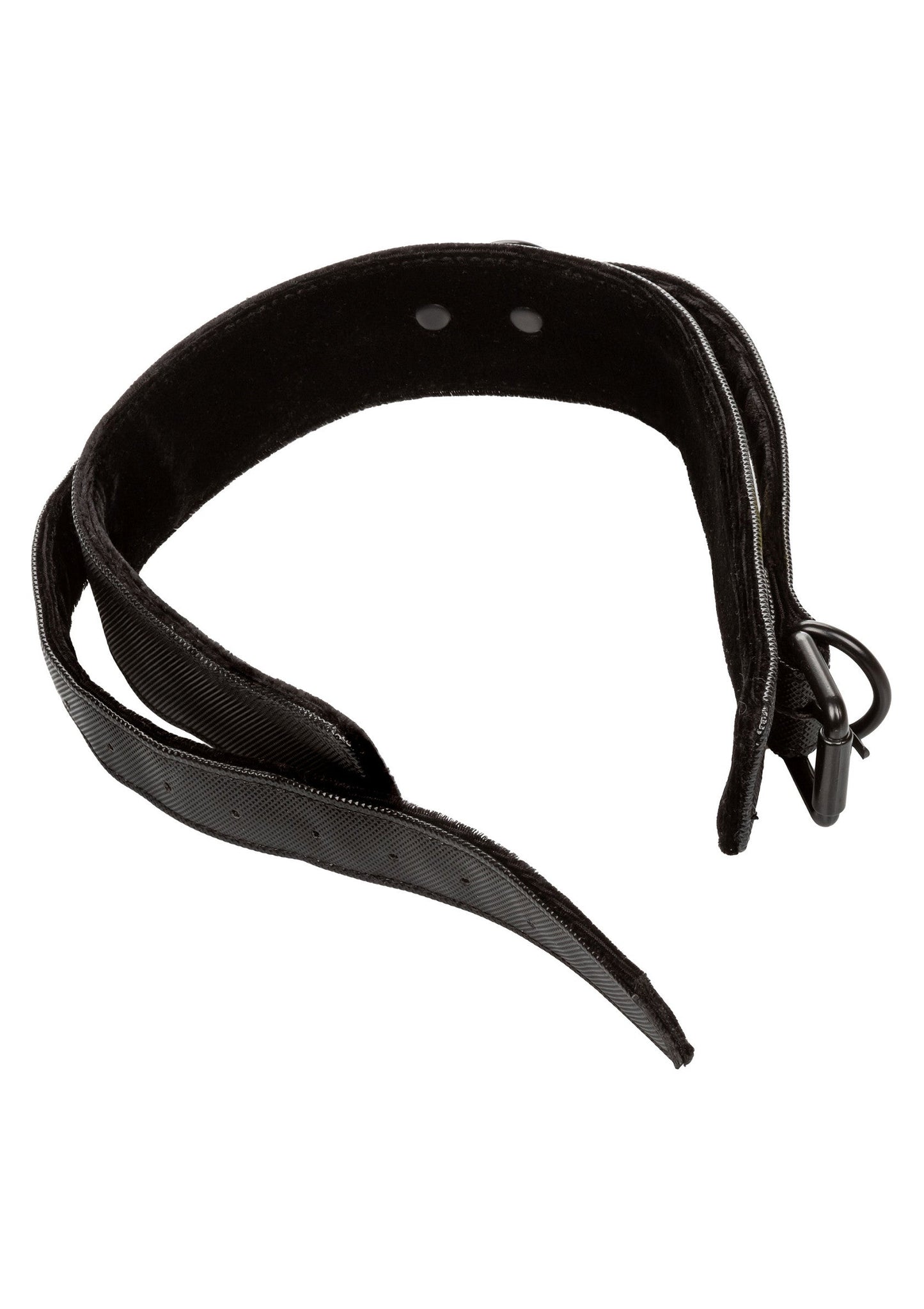 14244 calexotics boundless boundless collar leash