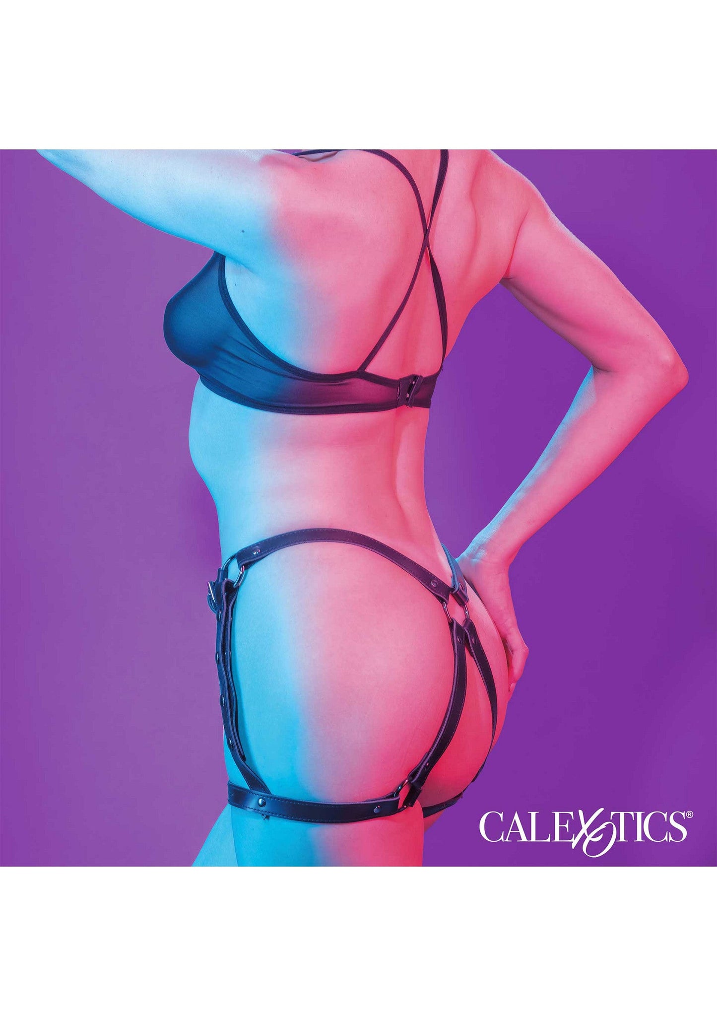 16706 calexotics euphoria riding thigh harness