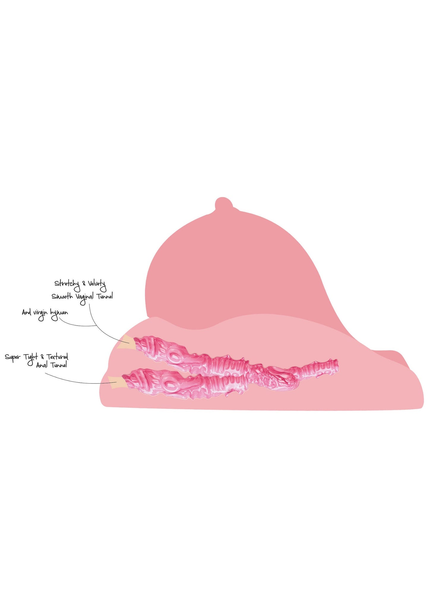 17048 hidden desire bangers fuck my virgin pussy