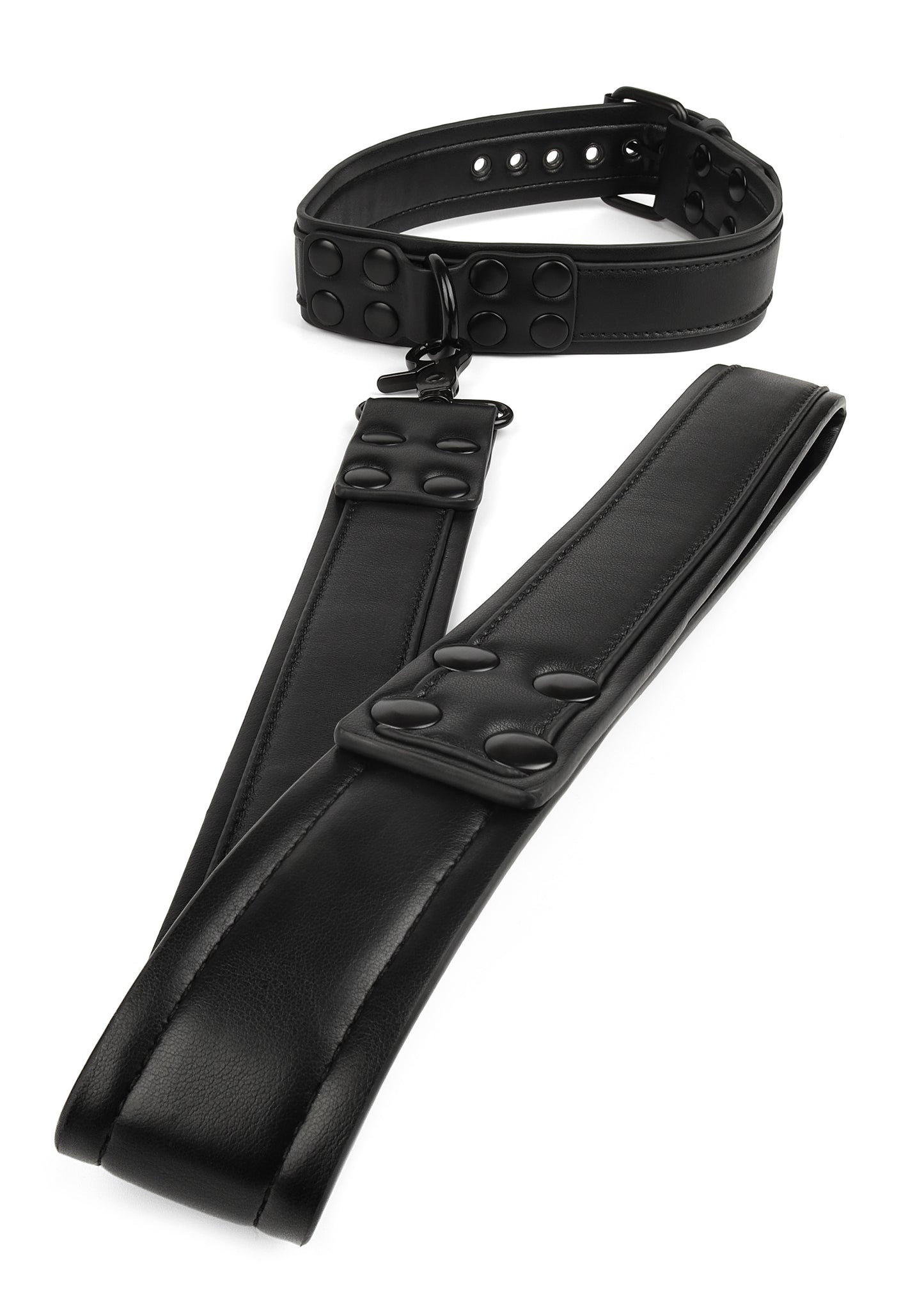 Signature Collar & Leash