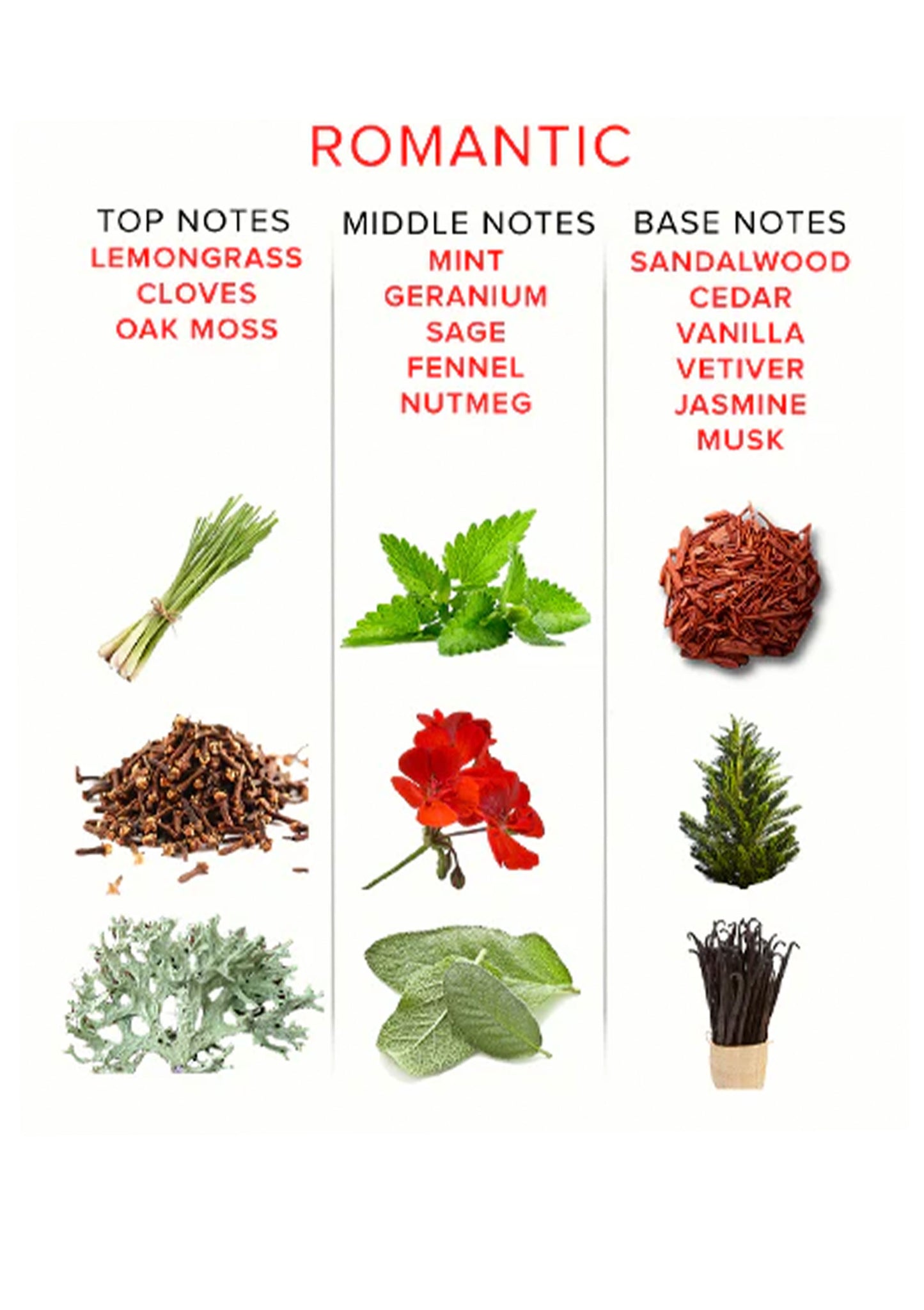 Pheromone Attract Her 10 ml