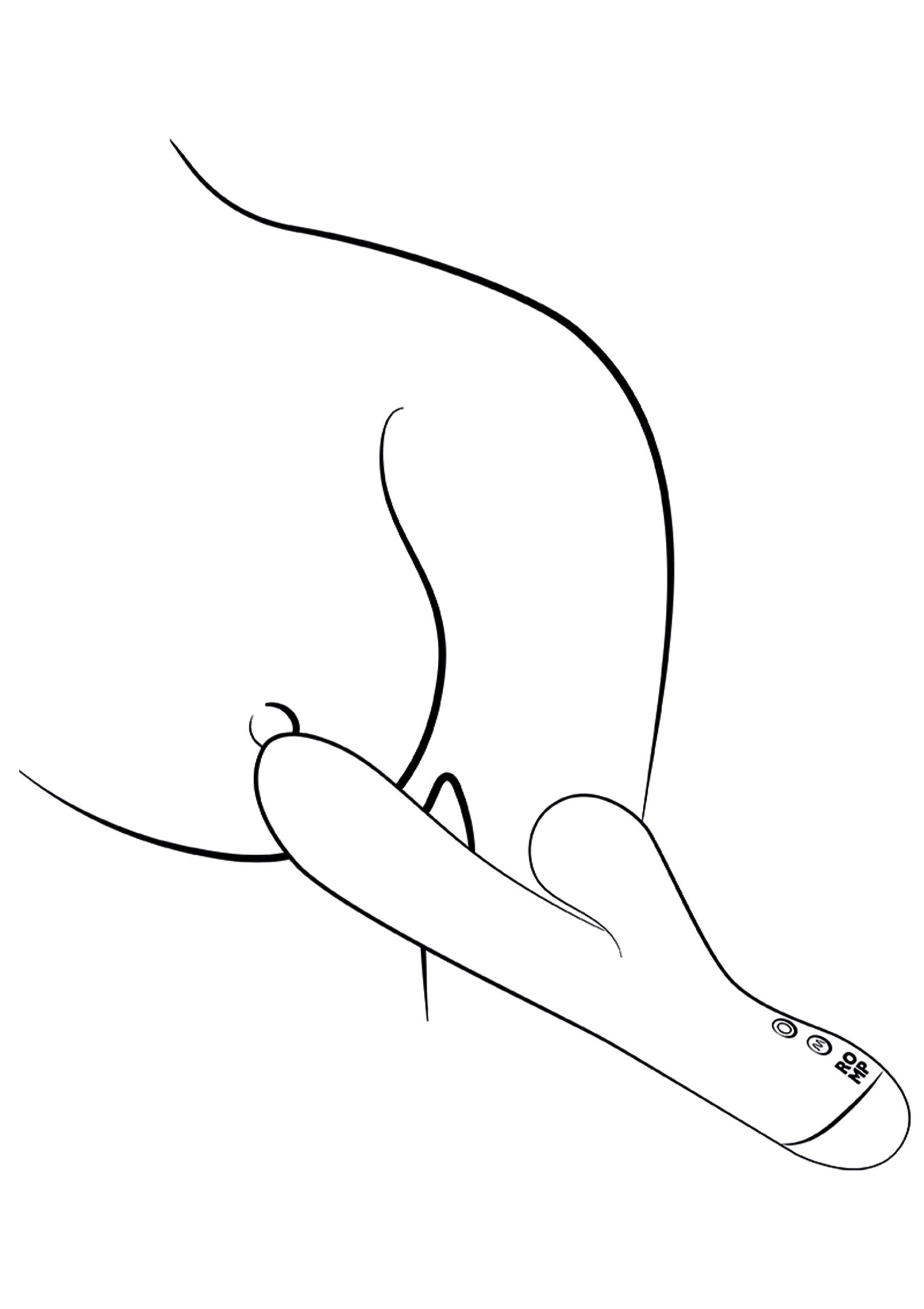 10976 romp pulse vibrator