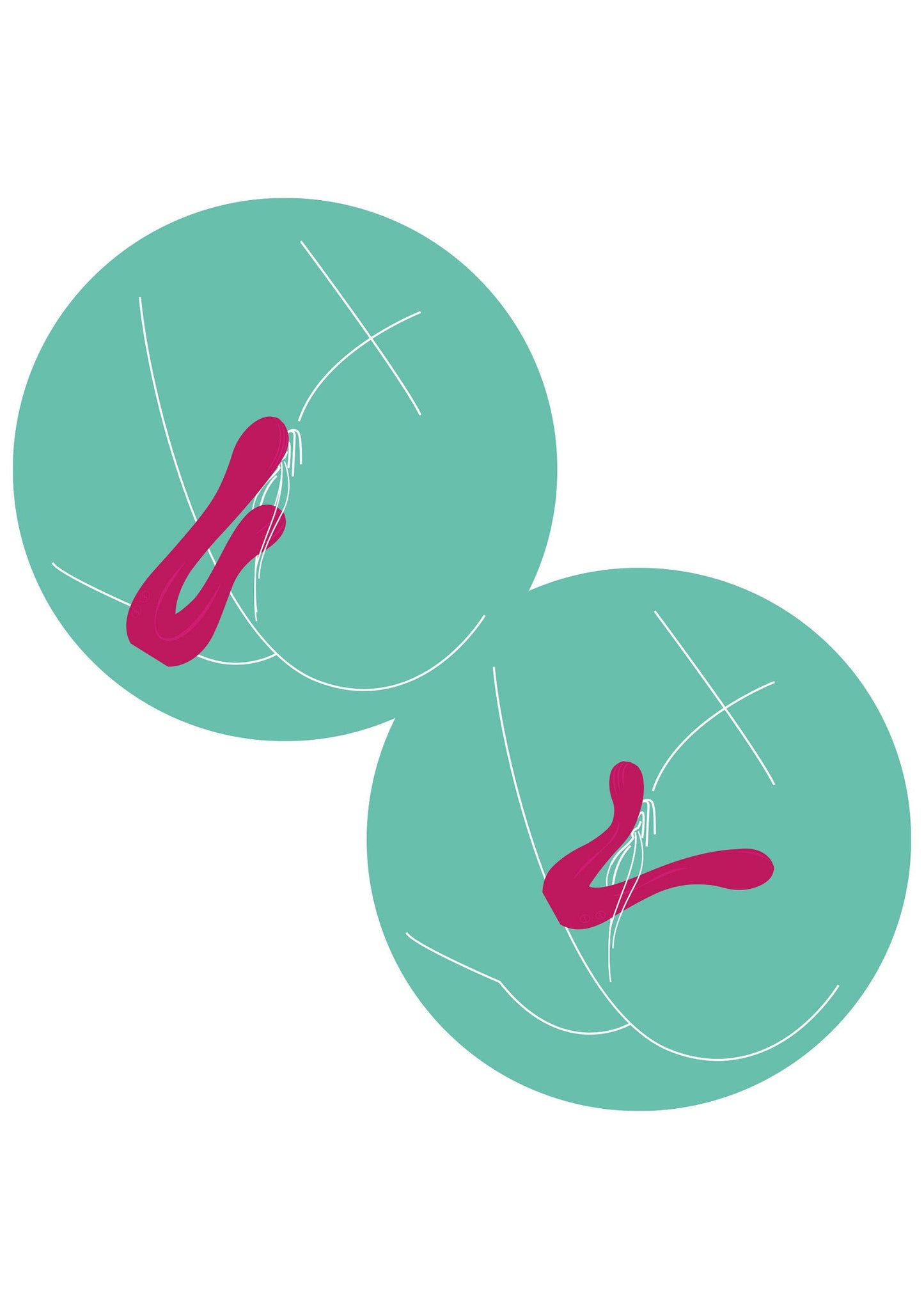 11095 xocoon sync sensation vibrator