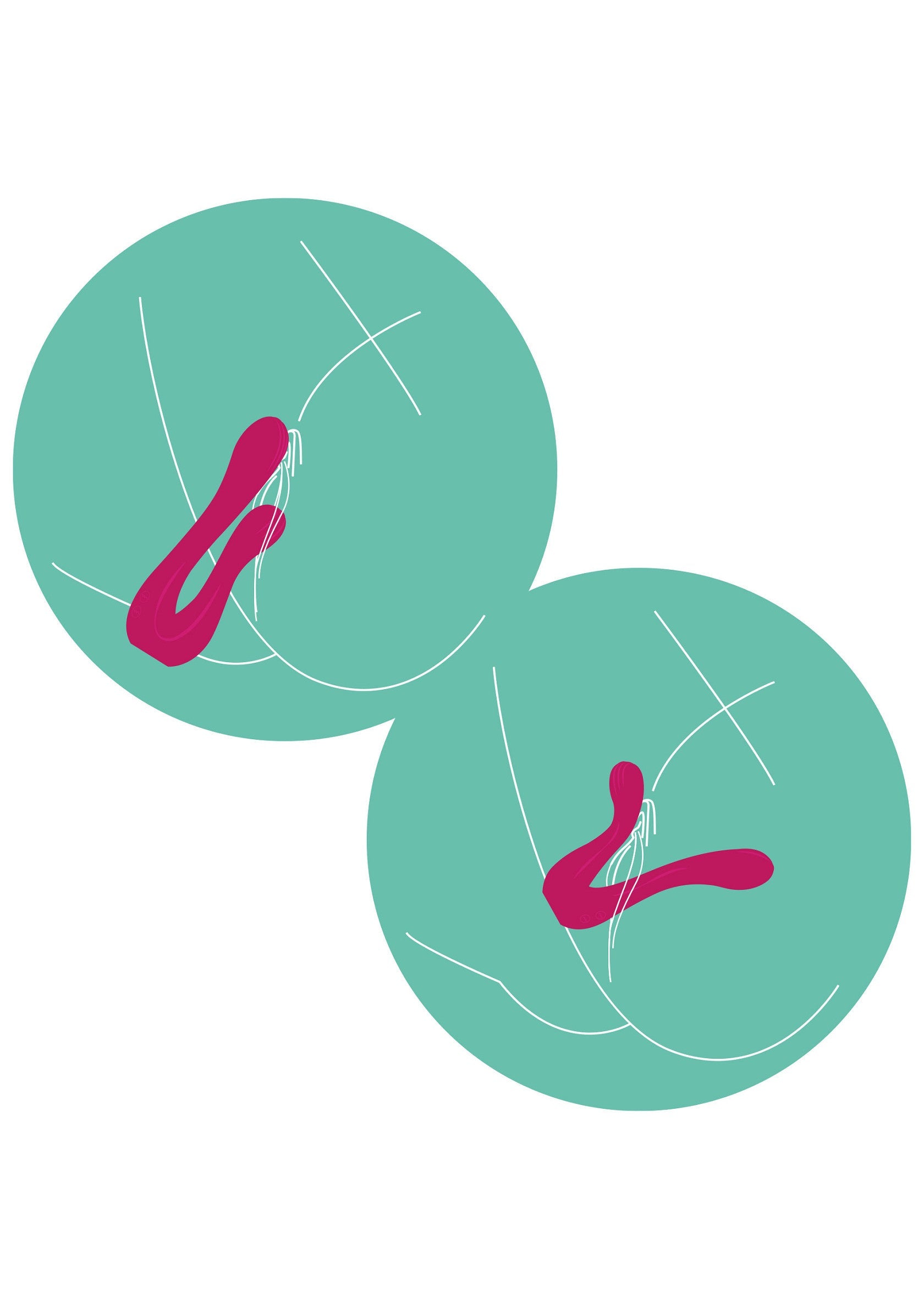 11095 xocoon sync sensation vibrator