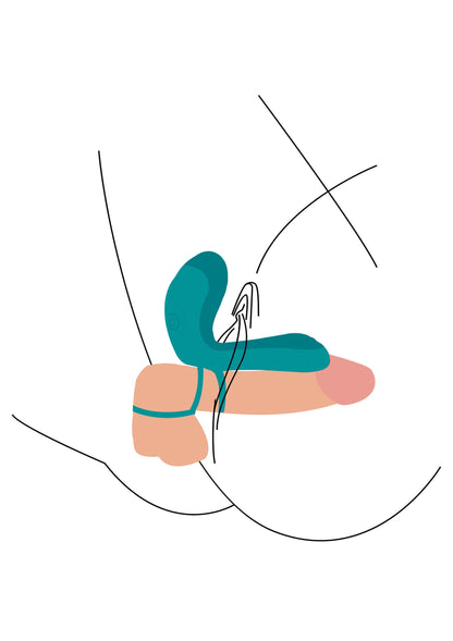 11103 xocoon couples vibrator ring