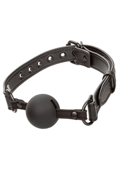 11931 calexotics nocturnal nocturnal ball gag