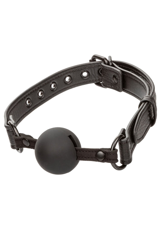 11931 calexotics nocturnal nocturnal ball gag