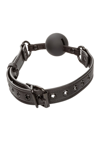 11931 calexotics nocturnal nocturnal ball gag
