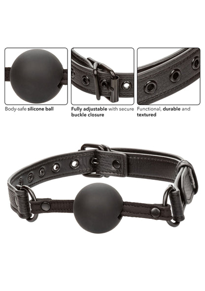 11931 calexotics nocturnal nocturnal ball gag