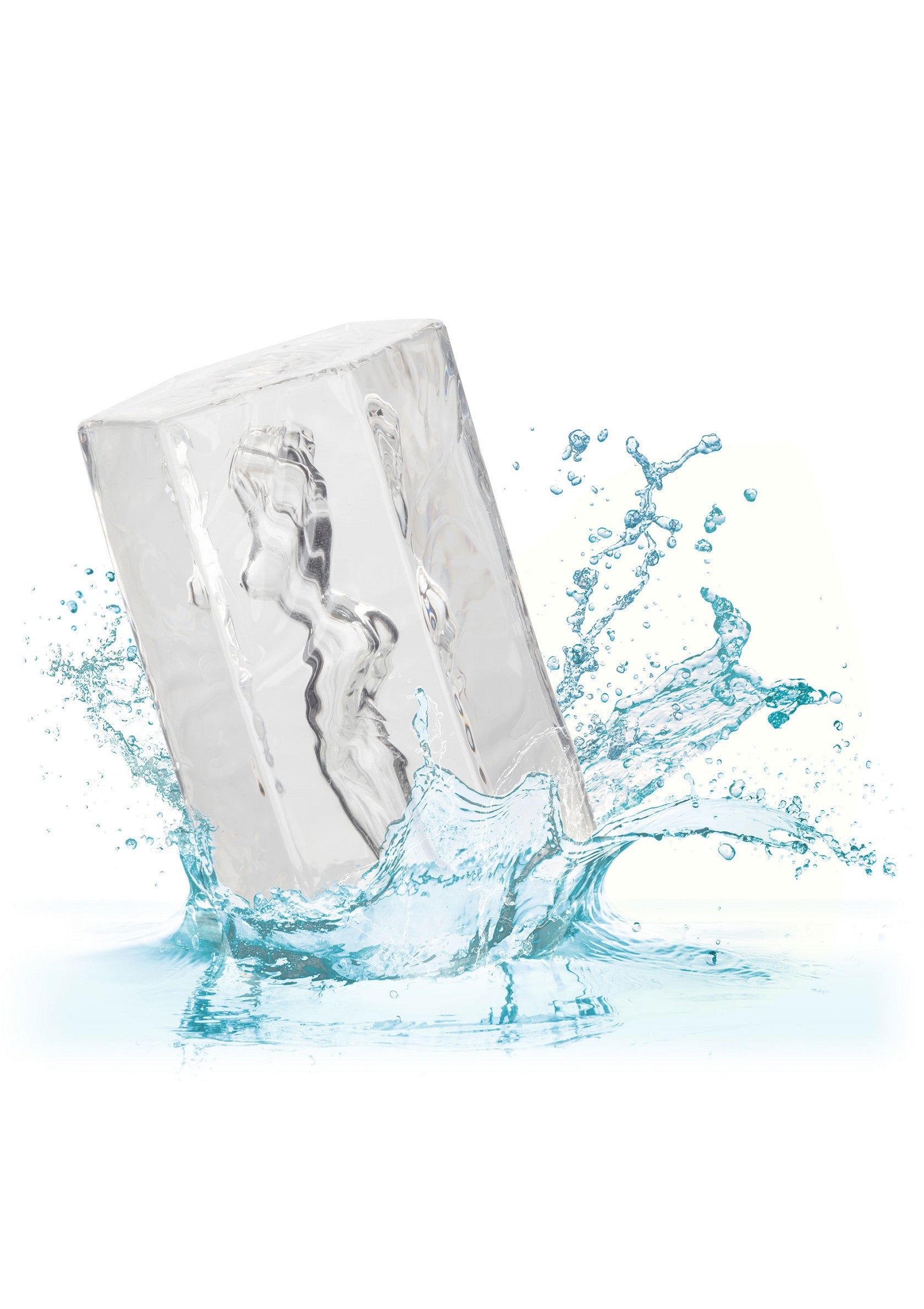 11951 calexotics girls girls girls girls girls girl farrah