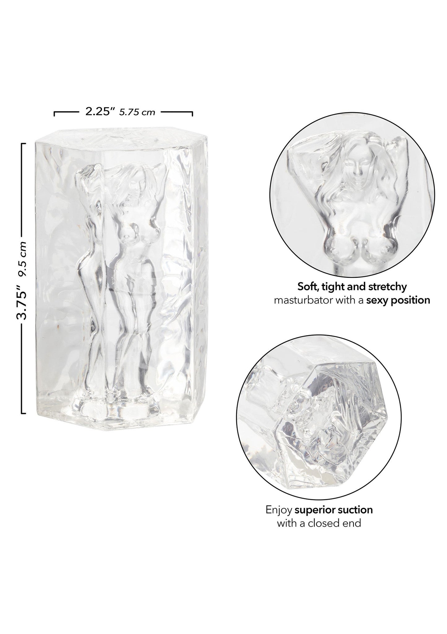 11951 calexotics girls girls girls girls girls girl farrah