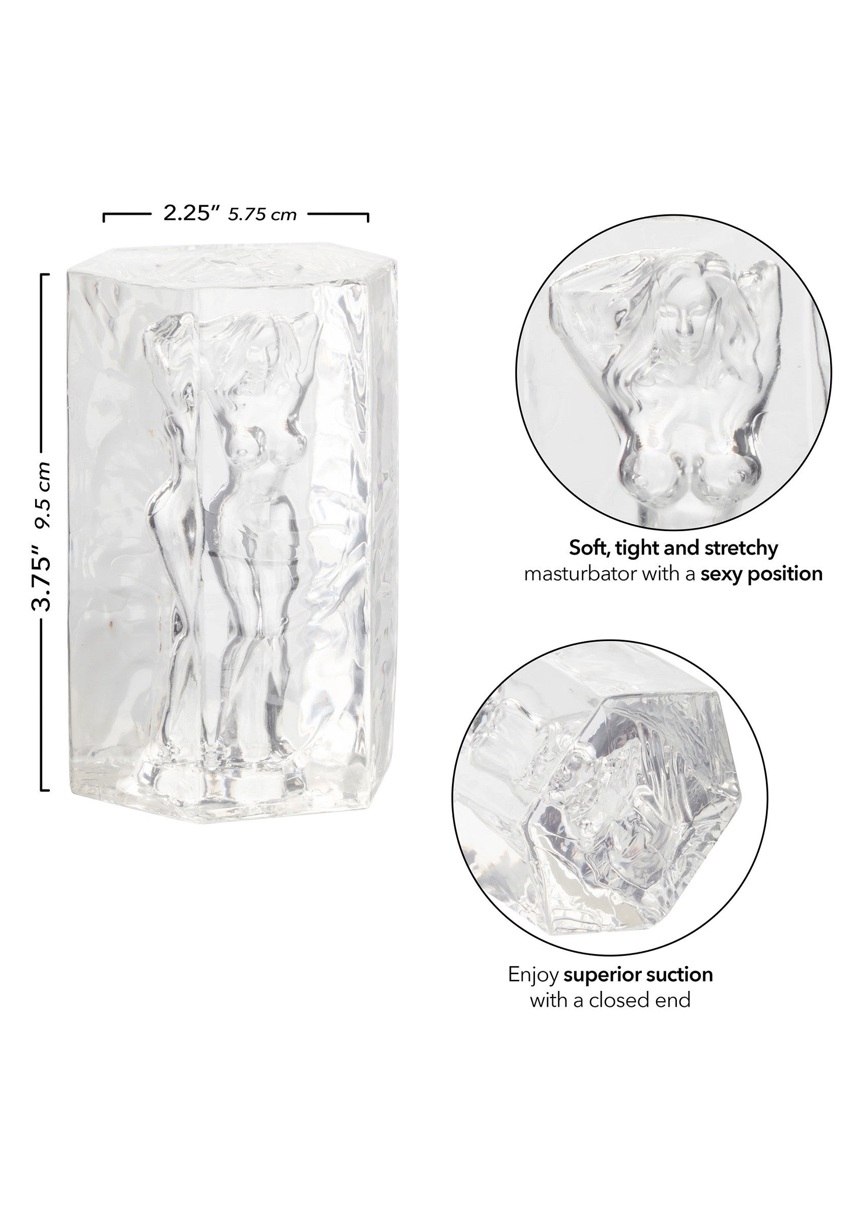 11951 calexotics girls girls girls girls girls girl farrah