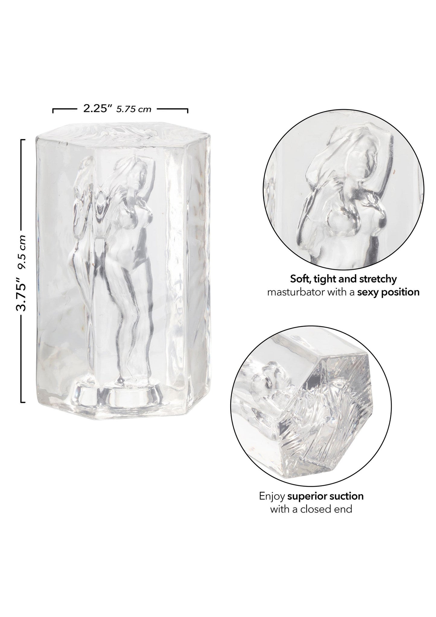 11952 calexotics girls girls girls girls girls girl olivia