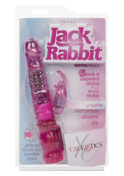 12444 calexotics jack rabbits petite jack rabbit