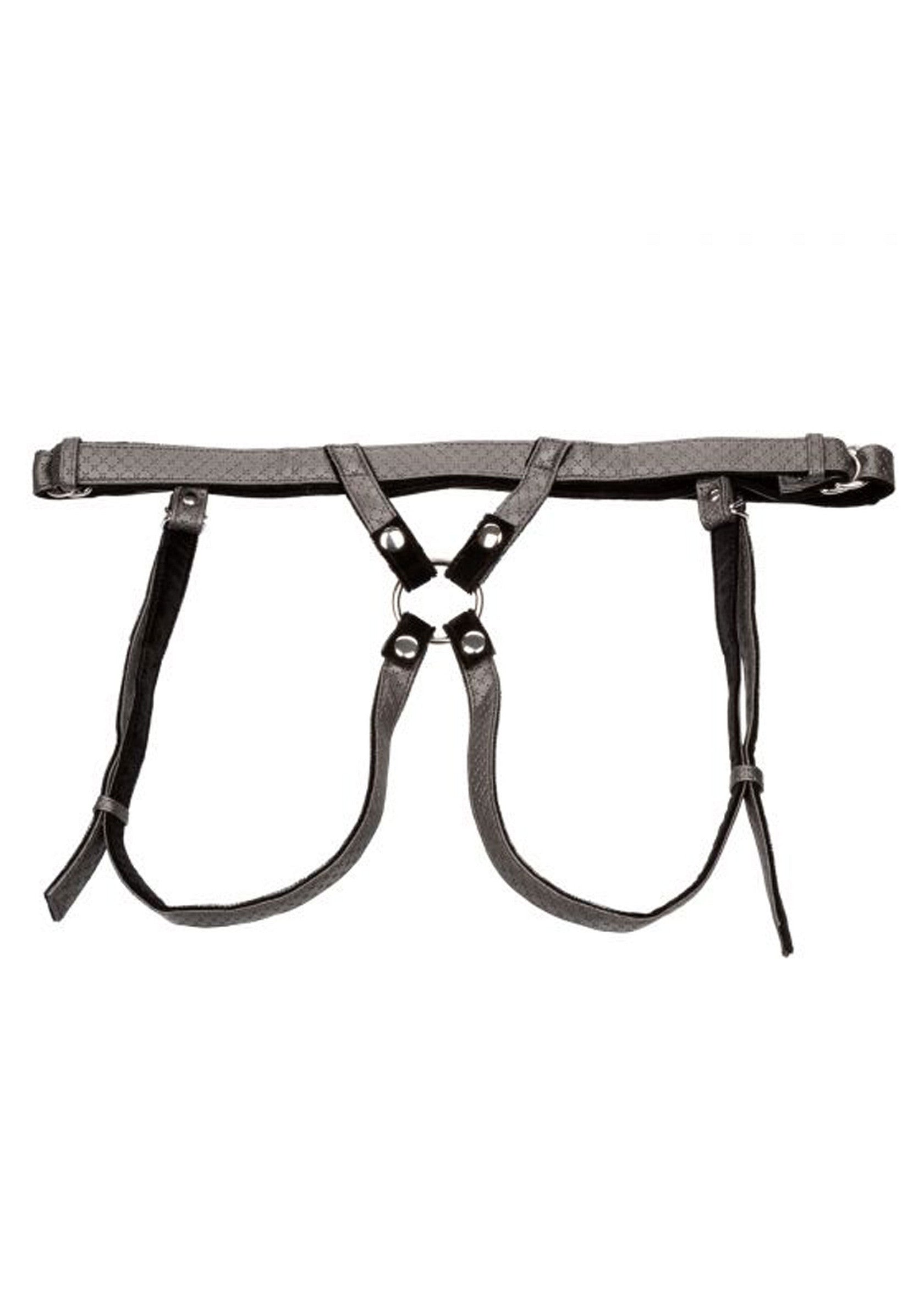 12860 calexotics her royal harness the regal duchess