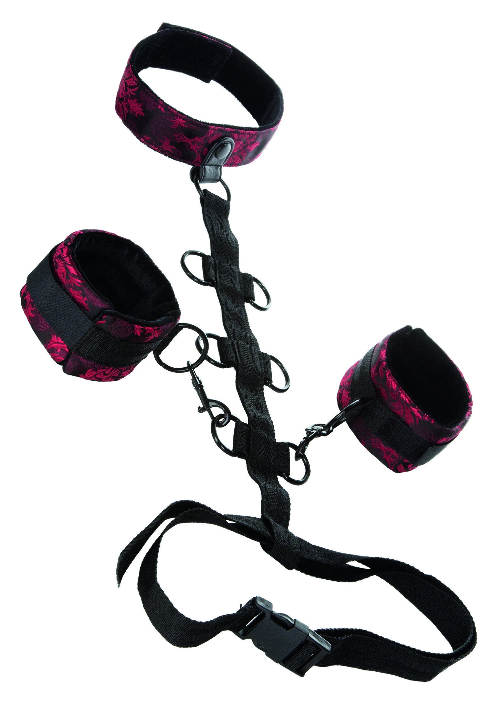 13024 calexotics scandal scandal collar body restraint