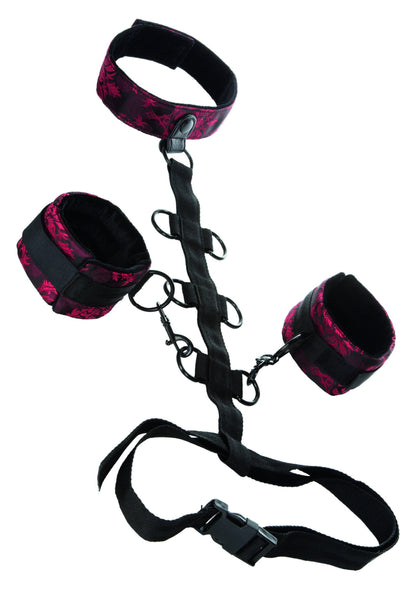 13024 calexotics scandal scandal collar body restraint