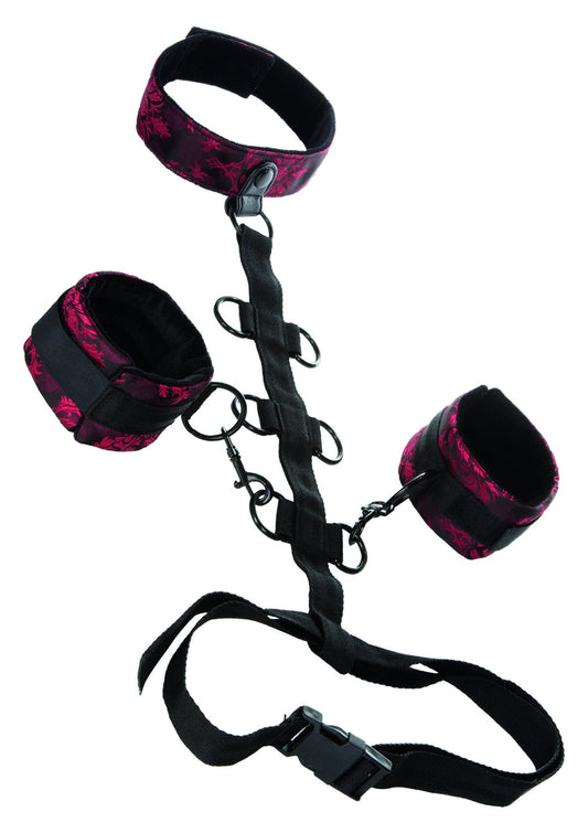 13024 calexotics scandal scandal collar body restraint