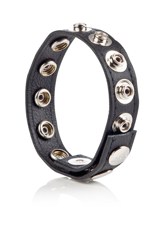 13268 calexotics colt gear colt leather cb strap 8 snap