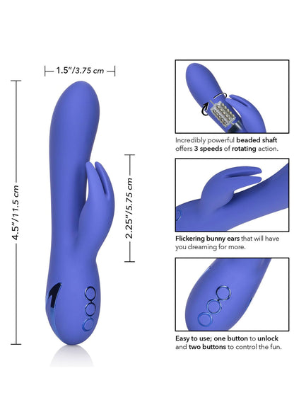 13452 calexotics california dreaming beverly hills bunny