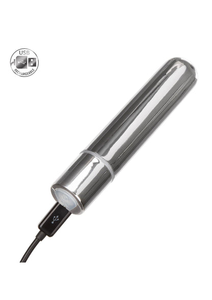 13491 calexotics bullets rechargeable bullet