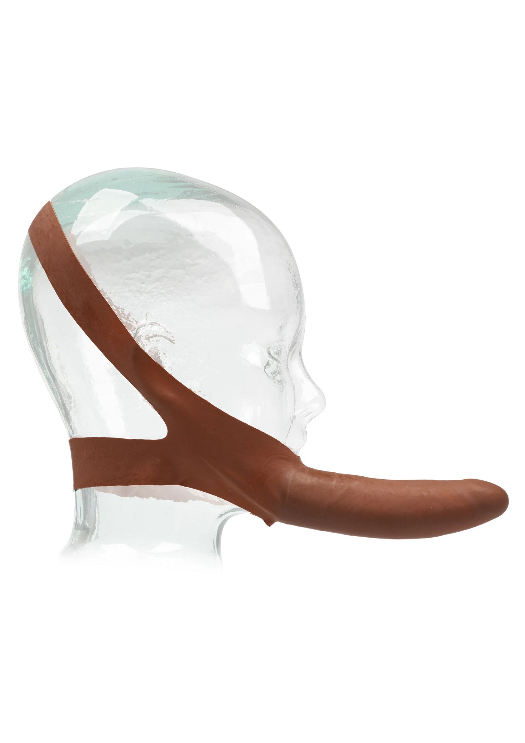 13622 calexotics extensions the accommodator dong