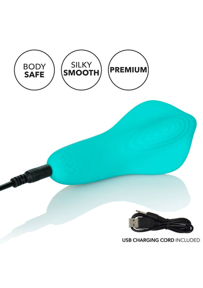 13803 calexotics slay slay pleaser