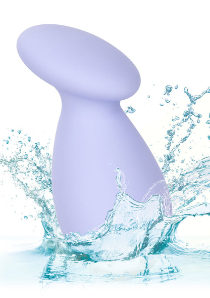 13804 calexotics slay slay entice me