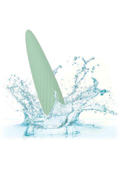 13814 calexotics slay slay satisfy me