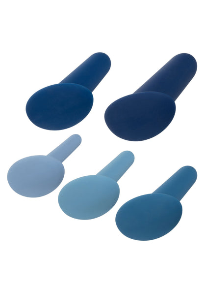 14064 calexotics she ology wearable anal training set 5pc