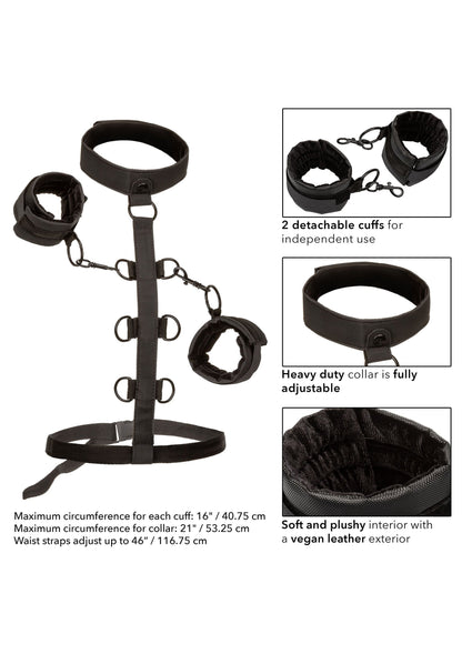 14228 calexotics boundless boundless collar restraint