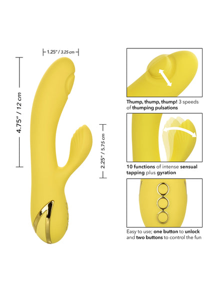 14356 calexotics california dreaming san diego seduction