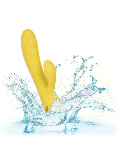 14356 calexotics california dreaming san diego seduction