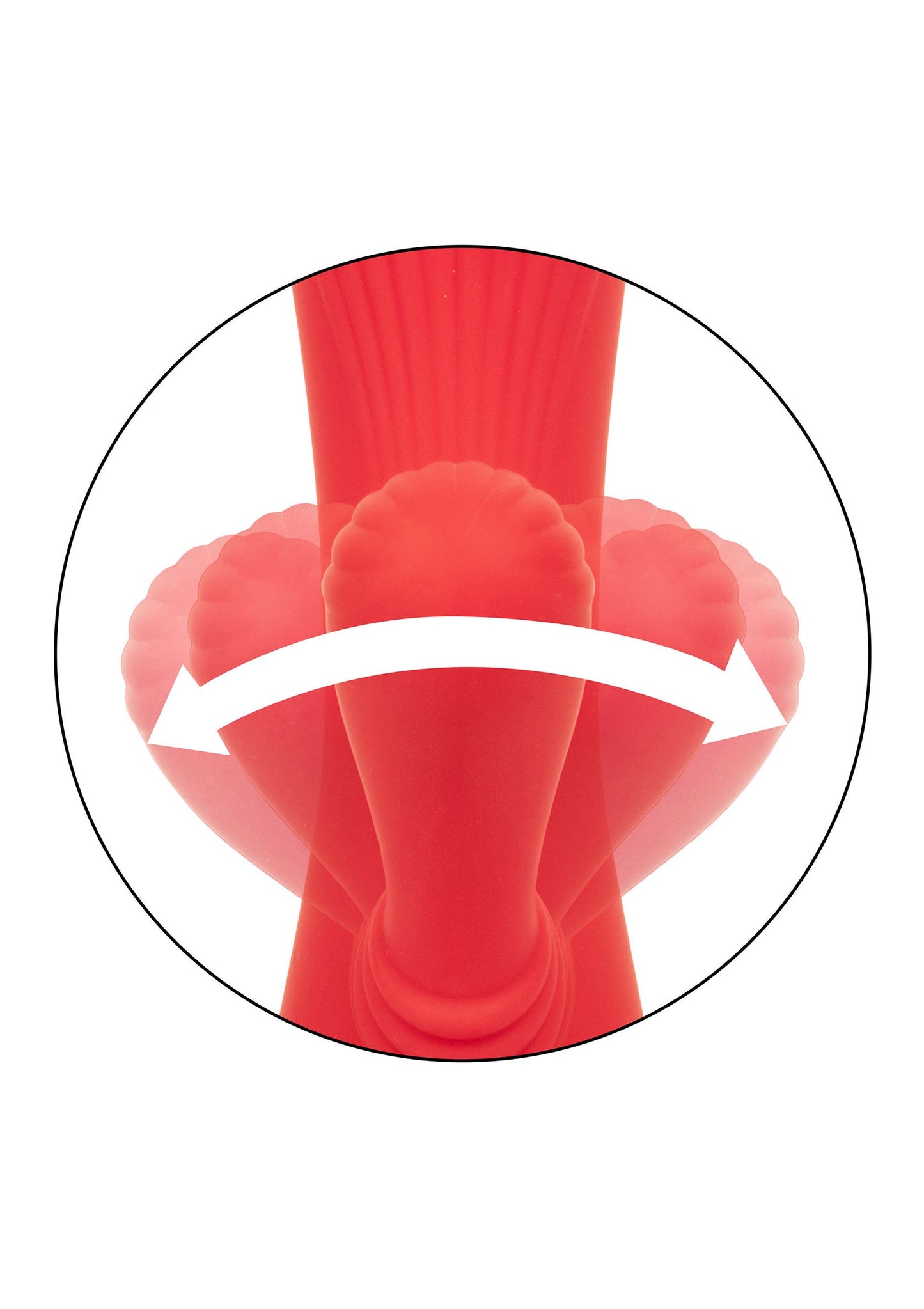 14360 calexotics california dreaming palisades passion