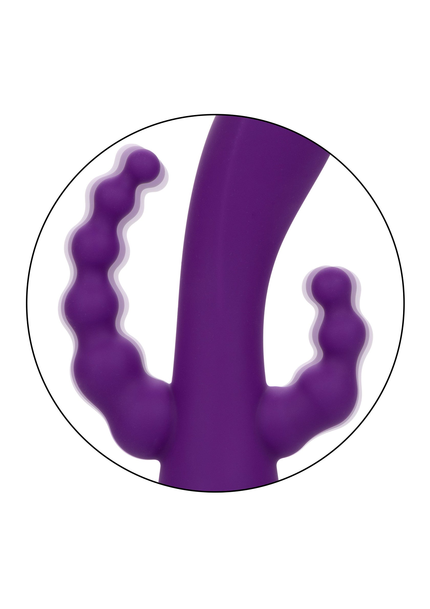 14361 calexotics california dreaming long beach bootylicious