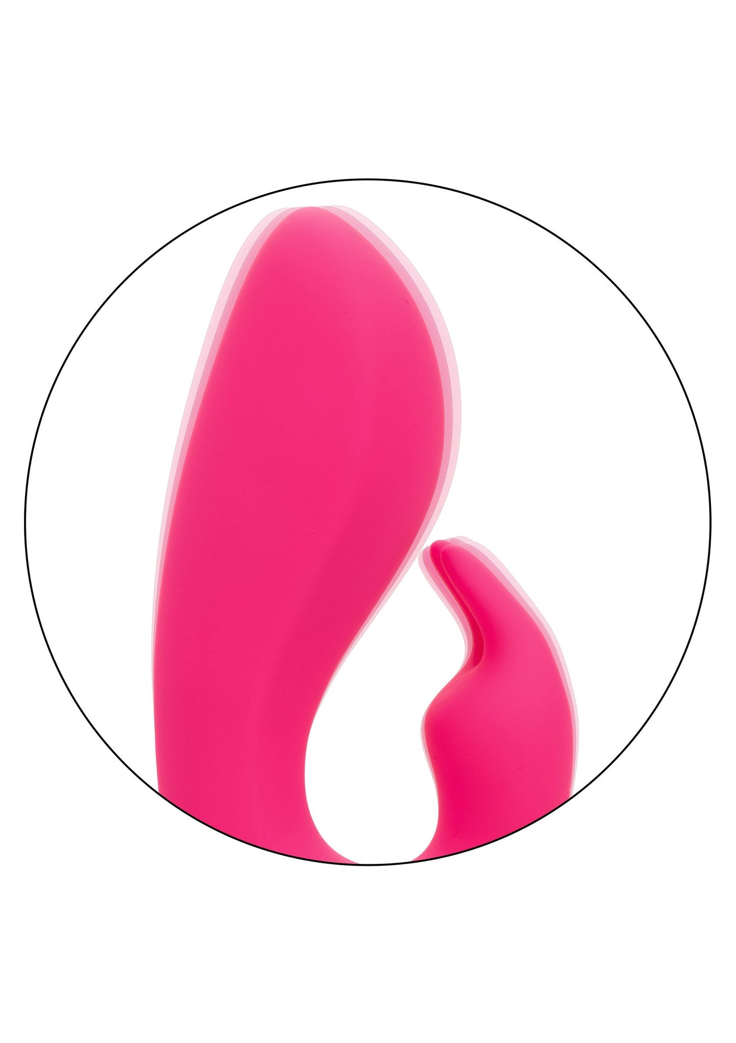 14362 calexotics california dreaming so cal sunshine