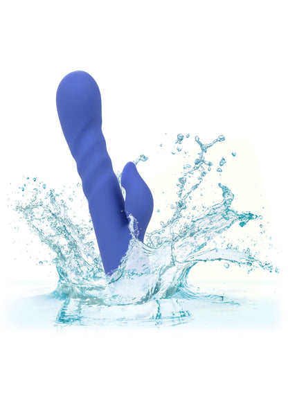 14365 calexotics california dreaming la love