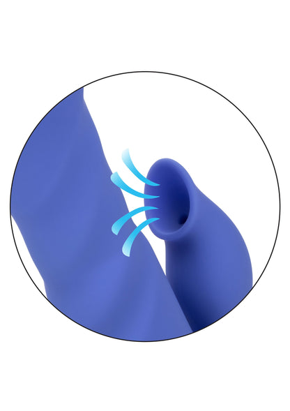 14365 calexotics california dreaming la love