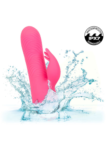 14366 calexotics california dreaming sacramento sweety