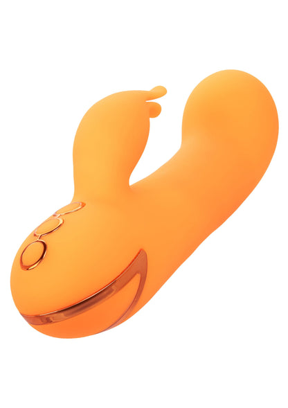 14369 calexotics california dreaming montecito muse