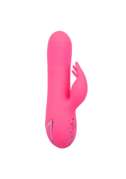 14370t calexotics california dreaming calex cal dreaming shelf pack