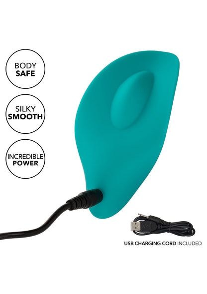 14773 calexotics pixies pixies hummer