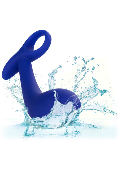 14799 calexotics admiral admiral anal training set