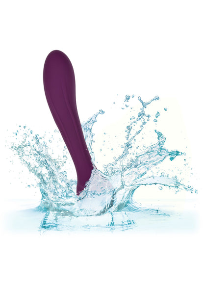 14835 calexotics obsession obsession passion