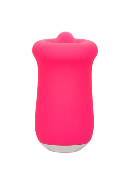 16492 calexotics sugar sugar craze