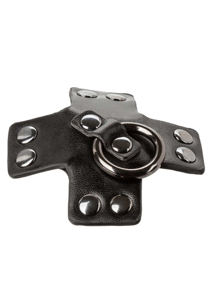 16700 calexotics euphoria o ring pasties