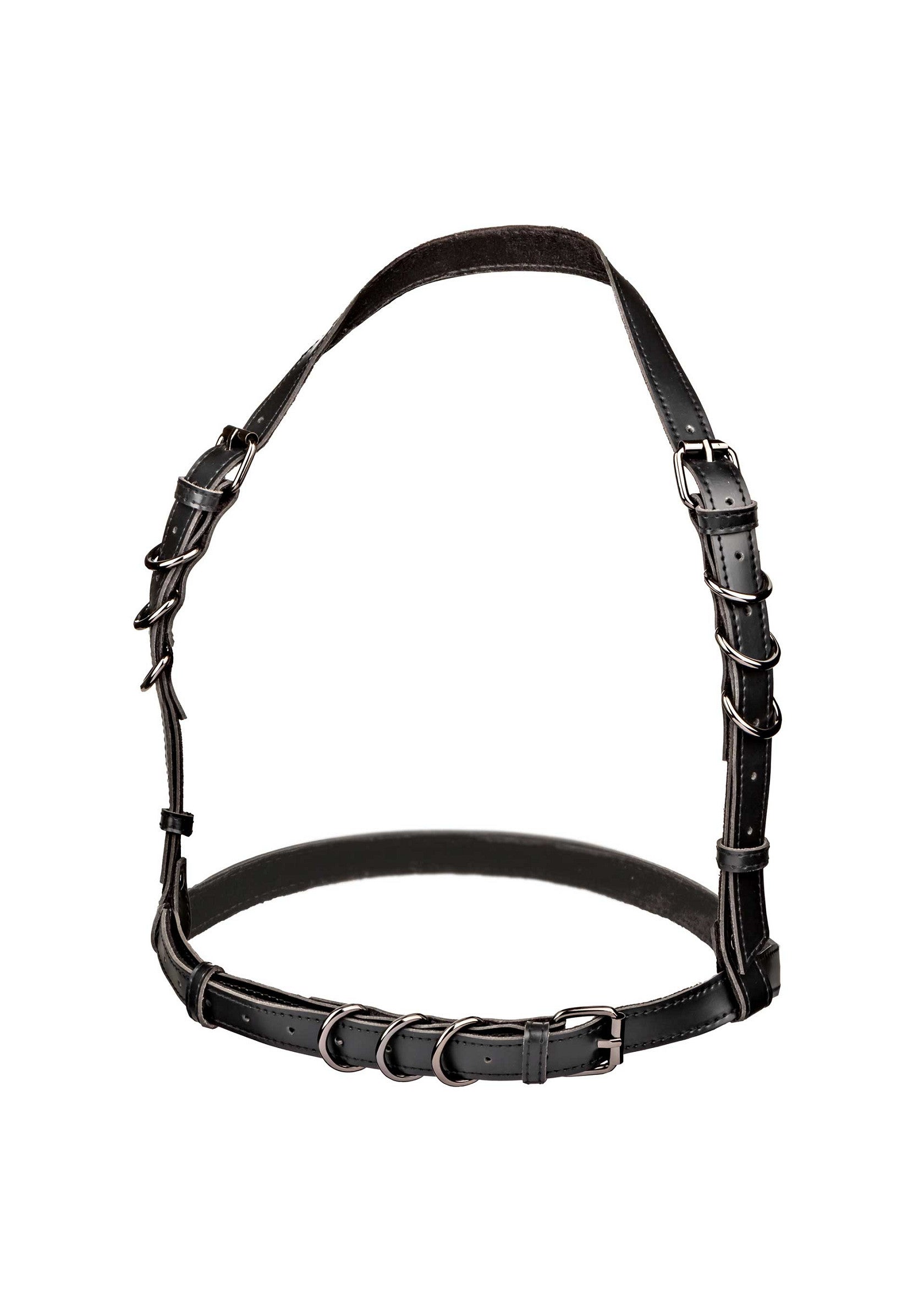 16703 calexotics euphoria halter buckle harness plus
