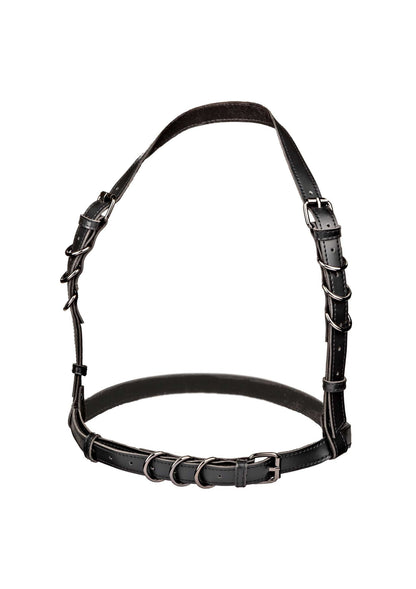 16703 calexotics euphoria halter buckle harness plus