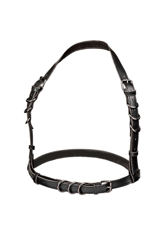 16703 calexotics euphoria halter buckle harness plus
